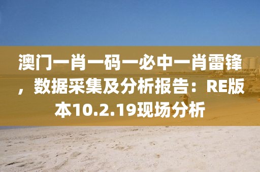 澳门一肖一码一必中一肖雷锋，数据采集及分析报告：RE版本10.2.19现场分析