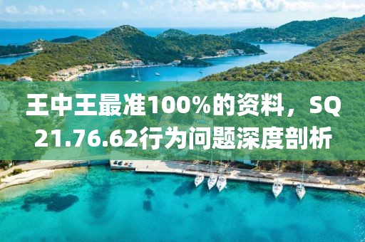 王中王最准100%的资料，SQ21.76.62行为问题深度剖析
