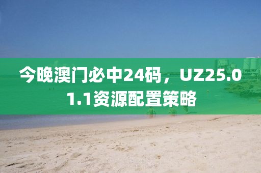 今晚澳门必中24码，UZ25.01.1资源配置策略