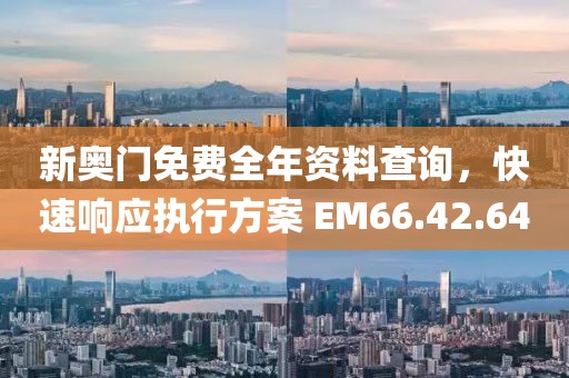 新奥门免费全年资料查询，快速响应执行方案 EM66.42.64