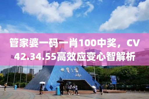 管家婆一码一肖100中奖，CV42.34.55高效应变心智解析