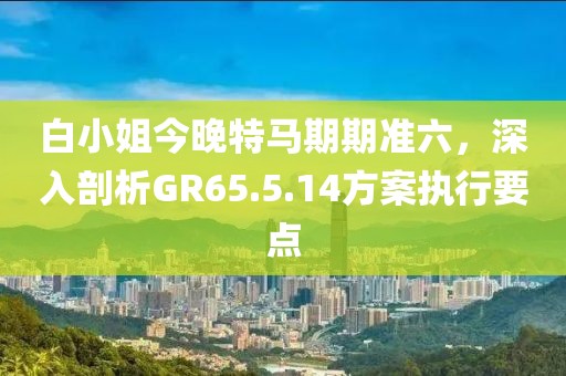 白小姐今晚特马期期准六，深入剖析GR65.5.14方案执行要点