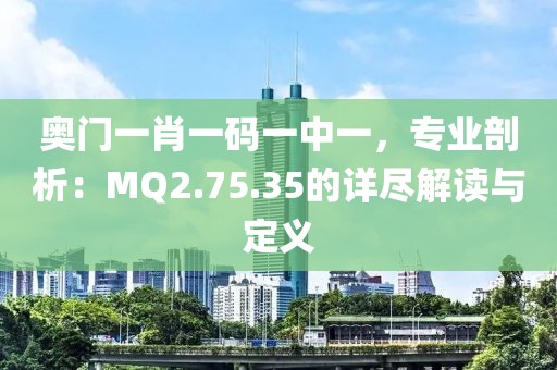 奥门一肖一码一中一，专业剖析：MQ2.75.35的详尽解读与定义