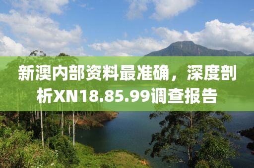 新澳内部资料最准确，深度剖析XN18.85.99调查报告