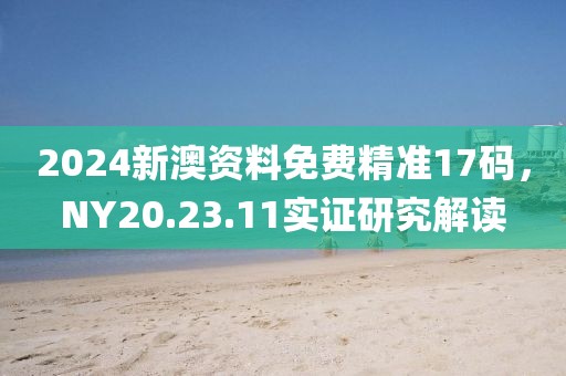 2024新澳资料免费精准17码，NY20.23.11实证研究解读