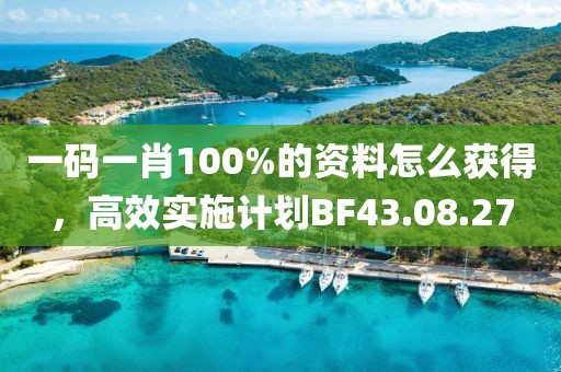 一码一肖100%的资料怎么获得，高效实施计划BF43.08.27