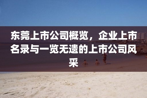 东莞上市公司概览，企业上市名录与一览无遗的上市公司风采