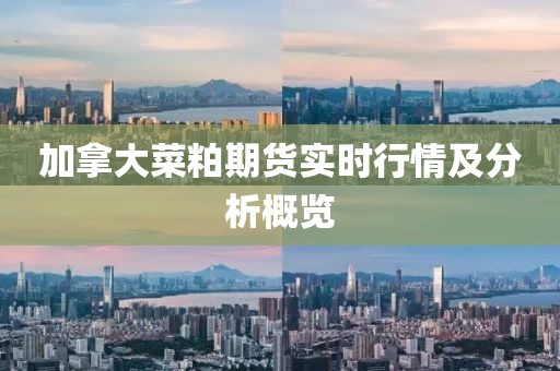 加拿大菜粕期货实时行情及分析概览