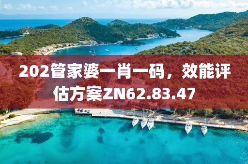 202管家婆一肖一码，效能评估方案ZN62.83.47