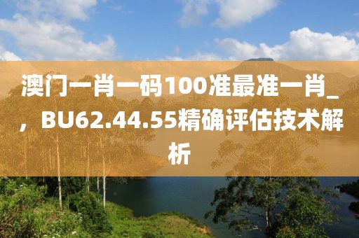 澳门一肖一码100准最准一肖_，BU62.44.55精确评估技术解析