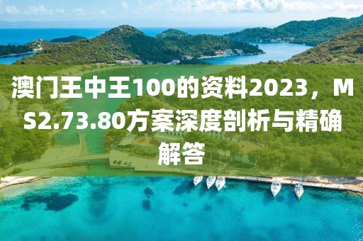 澳门王中王100的资料2023，MS2.73.80方案深度剖析与精确解答