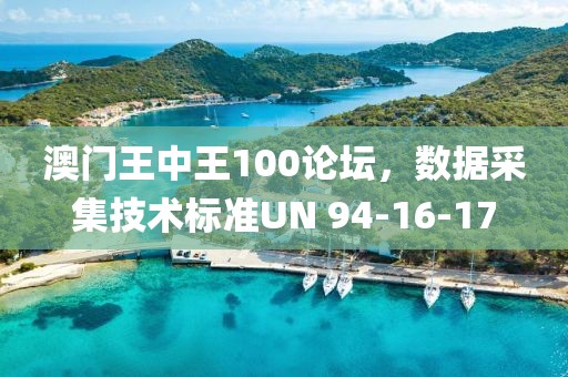 澳门王中王100论坛，数据采集技术标准UN 94-16-17