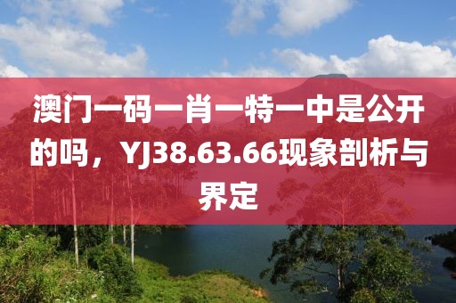 澳门一码一肖一特一中是公开的吗，YJ38.63.66现象剖析与界定