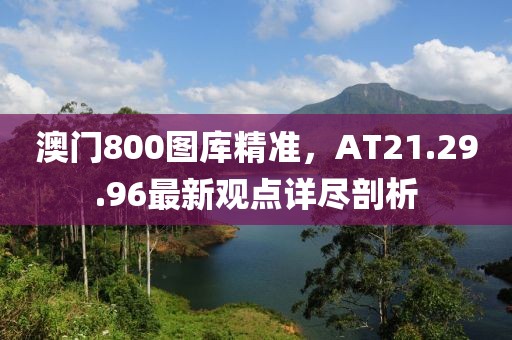 澳门800图库精准，AT21.29.96最新观点详尽剖析
