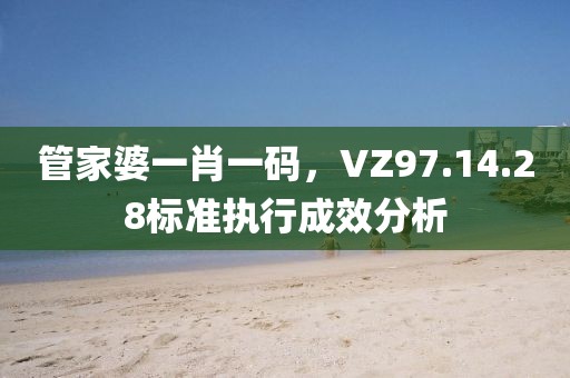 管家婆一肖一码，VZ97.14.28标准执行成效分析