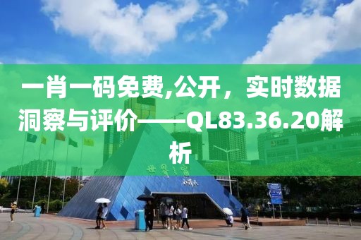 一肖一码免费,公开，实时数据洞察与评价——QL83.36.20解析