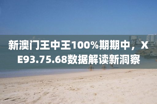 新澳门王中王100%期期中，XE93.75.68数据解读新洞察
