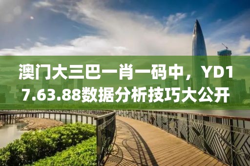 澳门大三巴一肖一码中，YD17.63.88数据分析技巧大公开