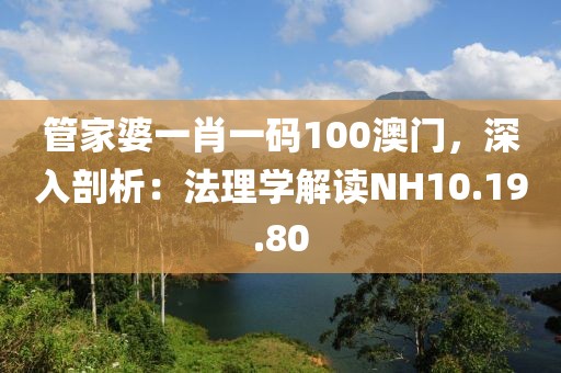 管家婆一肖一码100澳门，深入剖析：法理学解读NH10.19.80