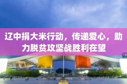 辽中捐大米行动，传递爱心，助力脱贫攻坚战胜利在望