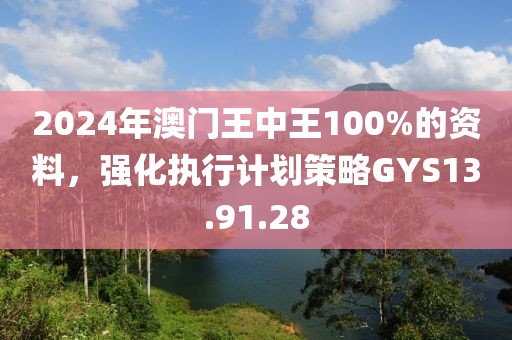 2024年澳门王中王100%的资料，强化执行计划策略GYS13.91.28