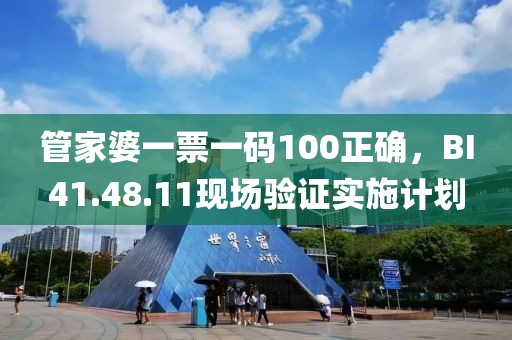 管家婆一票一码100正确，BI41.48.11现场验证实施计划