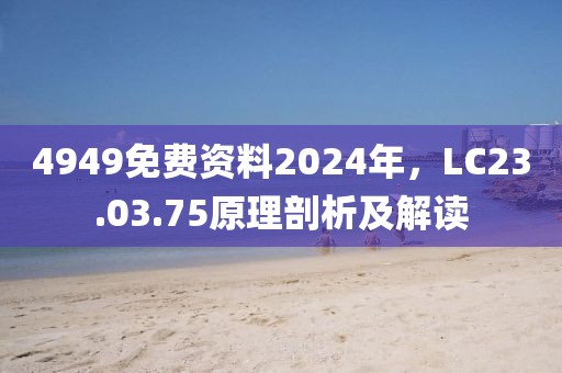 4949免费资料2024年，LC23.03.75原理剖析及解读