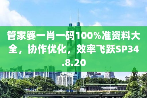 管家婆一肖一码100%准资料大全，协作优化，效率飞跃SP34.8.20
