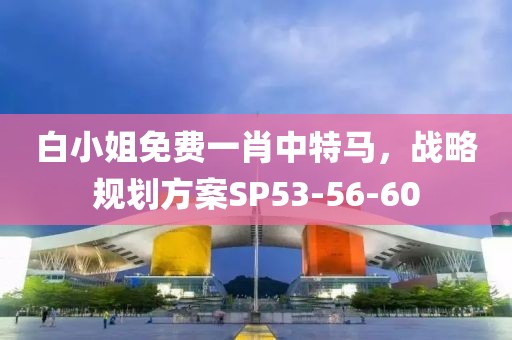 白小姐免费一肖中特马，战略规划方案SP53-56-60