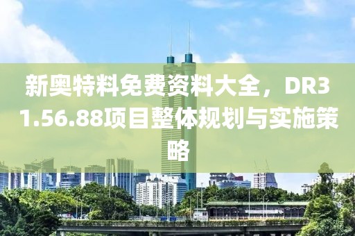 新奥特料免费资料大全，DR31.56.88项目整体规划与实施策略