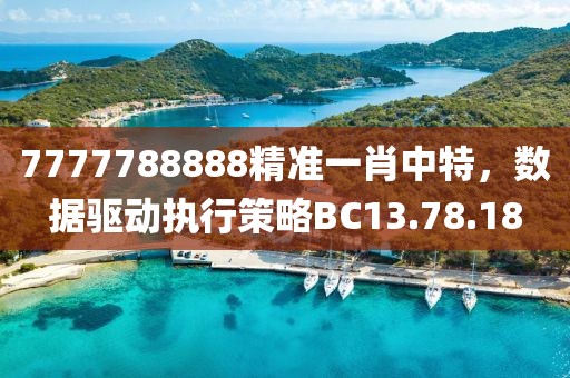 7777788888精准一肖中特，数据驱动执行策略BC13.78.18
