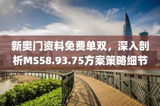 新奥门资料免费单双，深入剖析MS58.93.75方案策略细节