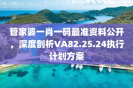 管家婆一肖一码最准资料公开，深度剖析VA82.25.24执行计划方案