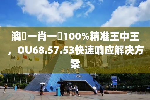 澳門一肖一碼100%精准王中王，OU68.57.53快速响应解决方案