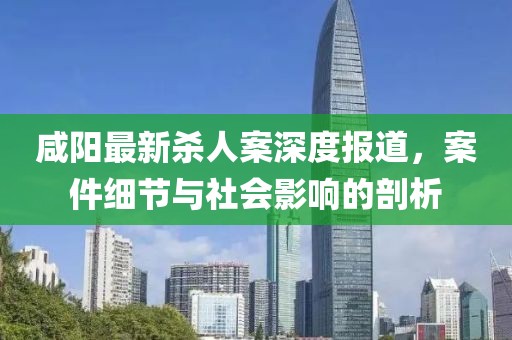 咸阳最新杀人案深度报道，案件细节与社会影响的剖析