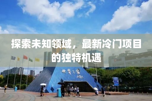 探索未知领域，最新冷门项目的独特机遇