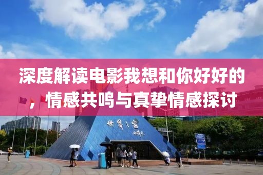 深度解读电影我想和你好好的，情感共鸣与真挚情感探讨