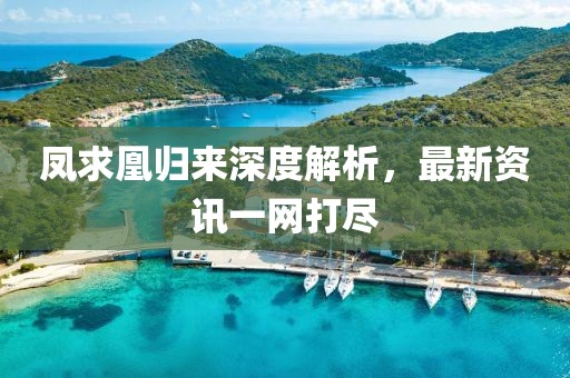 凤求凰归来深度解析，最新资讯一网打尽