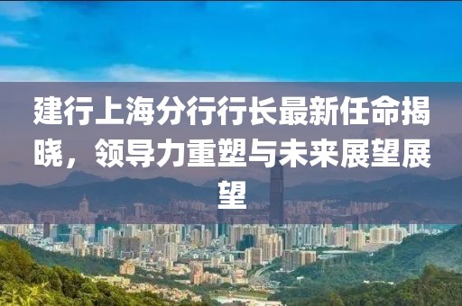 建行上海分行行长最新任命揭晓，领导力重塑与未来展望展望