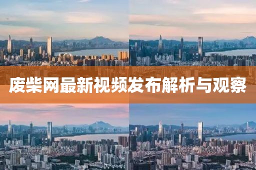 废柴网最新视频发布解析与观察