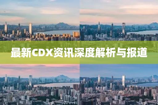 最新CDX资讯深度解析与报道