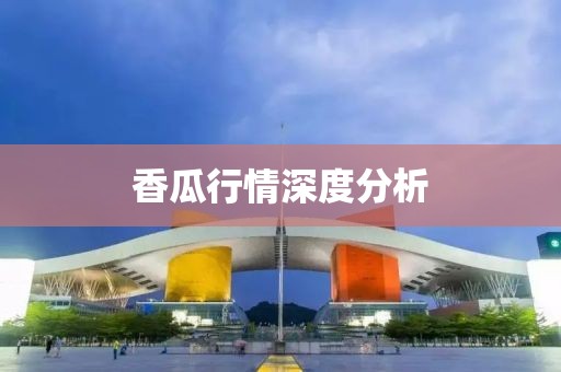 香瓜行情深度分析