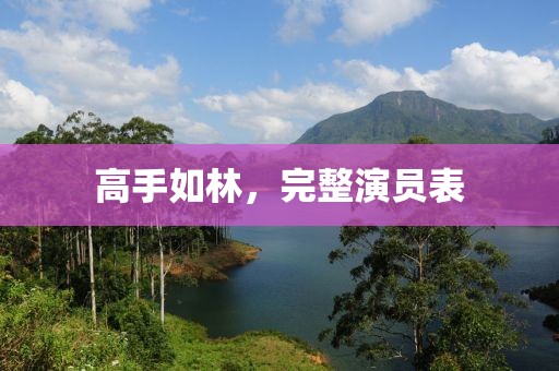 高手如林，完整演员表