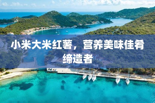 小米大米红薯，营养美味佳肴缔造者