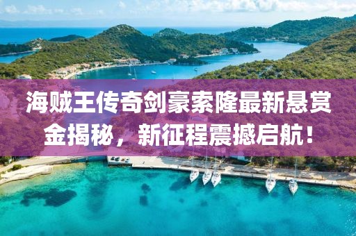 海贼王传奇剑豪索隆最新悬赏金揭秘，新征程震撼启航！