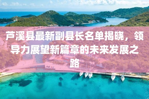 芦溪县最新副县长名单揭晓，领导力展望新篇章的未来发展之路