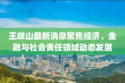 王歧山最新消息聚焦经济、金融与社会责任领域动态发展