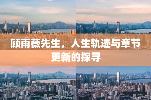 顾雨薇先生，人生轨迹与章节更新的探寻