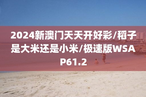 2024新澳门天天开好彩/稻子是大米还是小米/极速版WSAP61.2