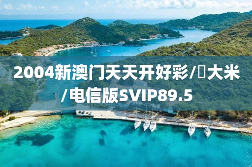 2004新澳门天天开好彩/喬大米/电信版SVIP89.5